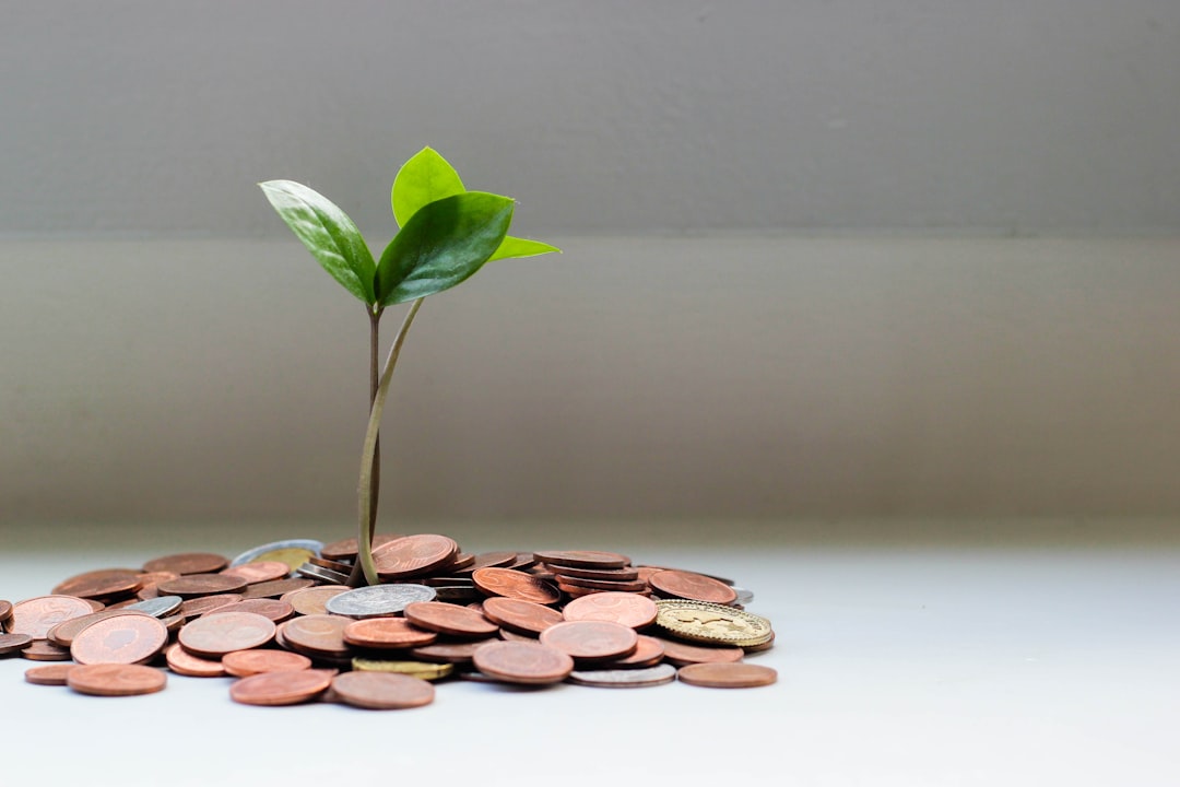 Sustainable Investments